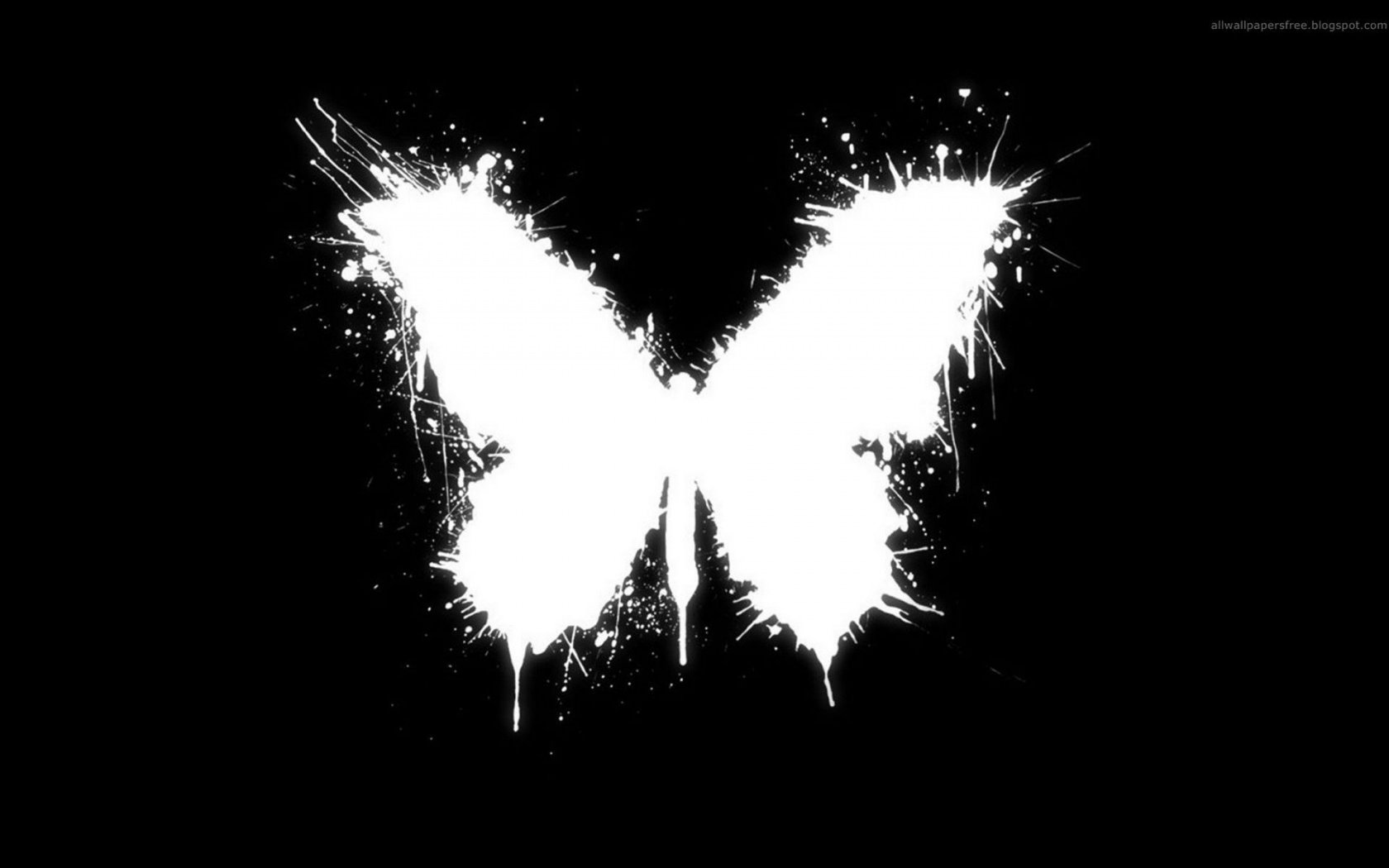 butterfly-effect-1680x1050.jpg